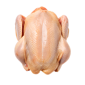 Broiler
