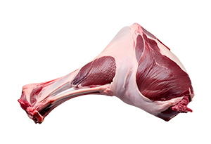 Goat Shoulder